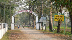 Manas National Park Tour Packages